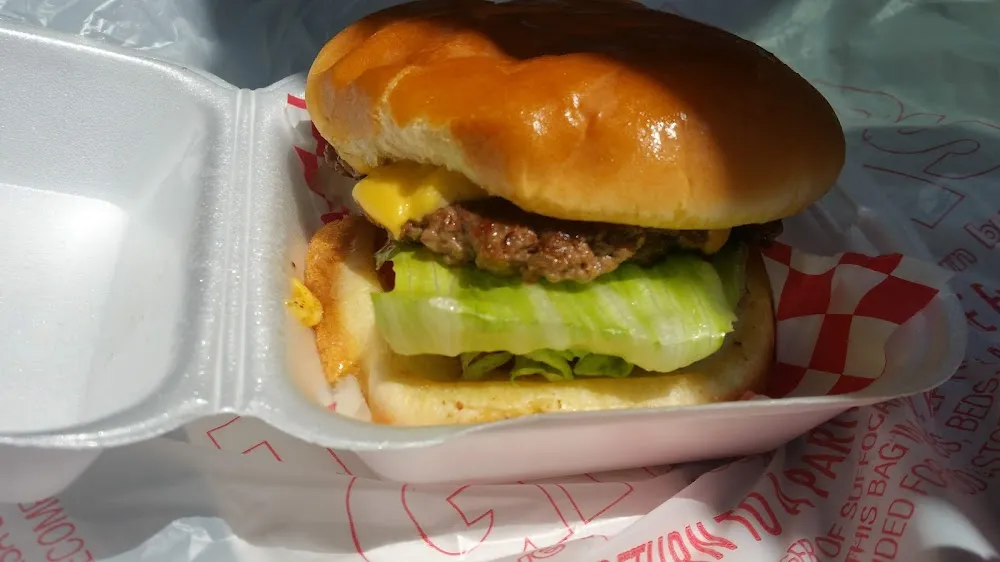 Cheeseburger Fresh Veggies